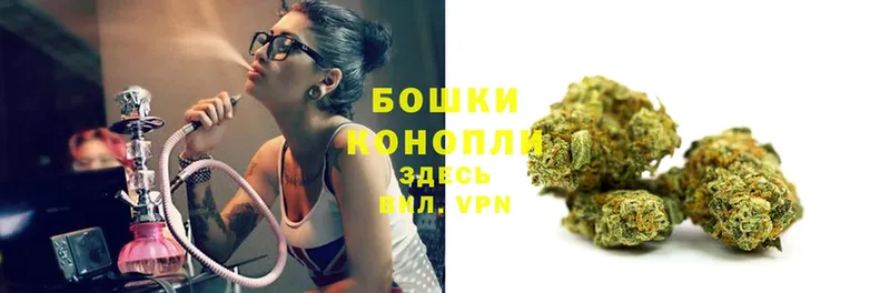 Бошки марихуана THC 21%  где можно купить   Бугульма 